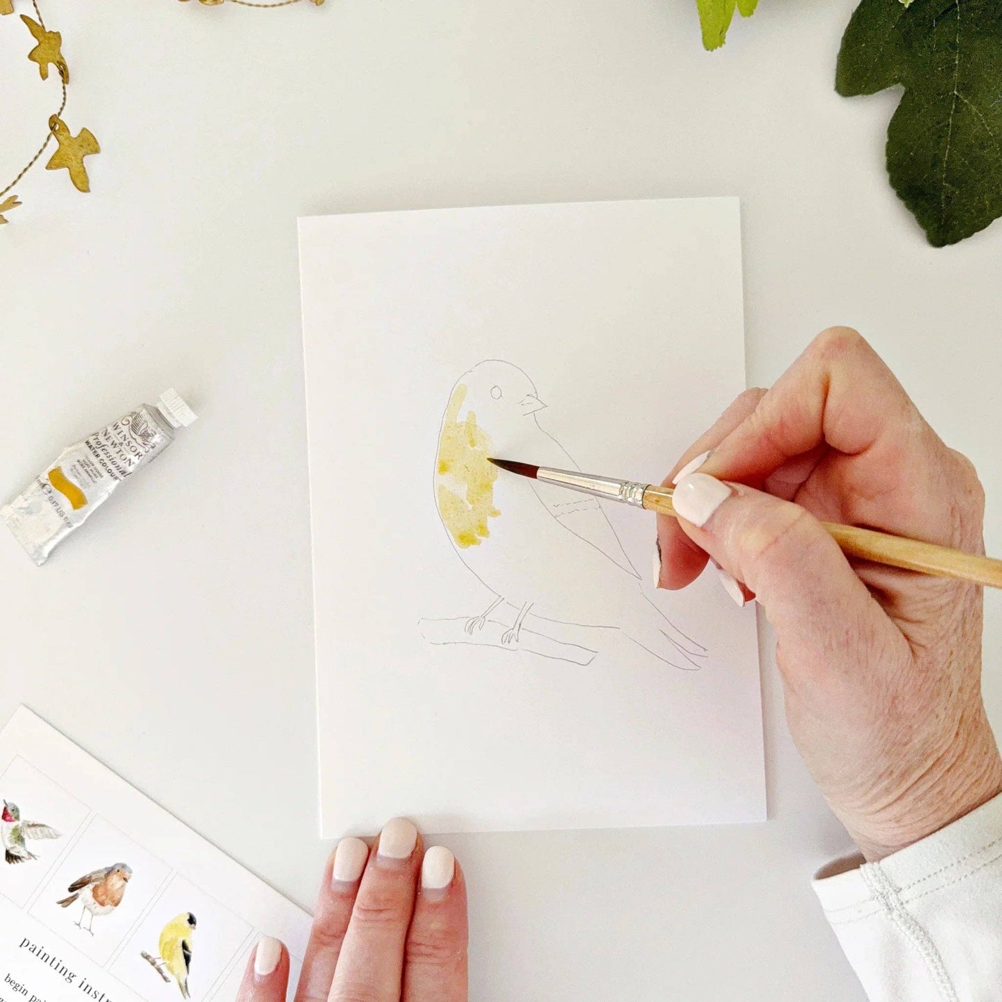 Birds paintable watercolor notecard set