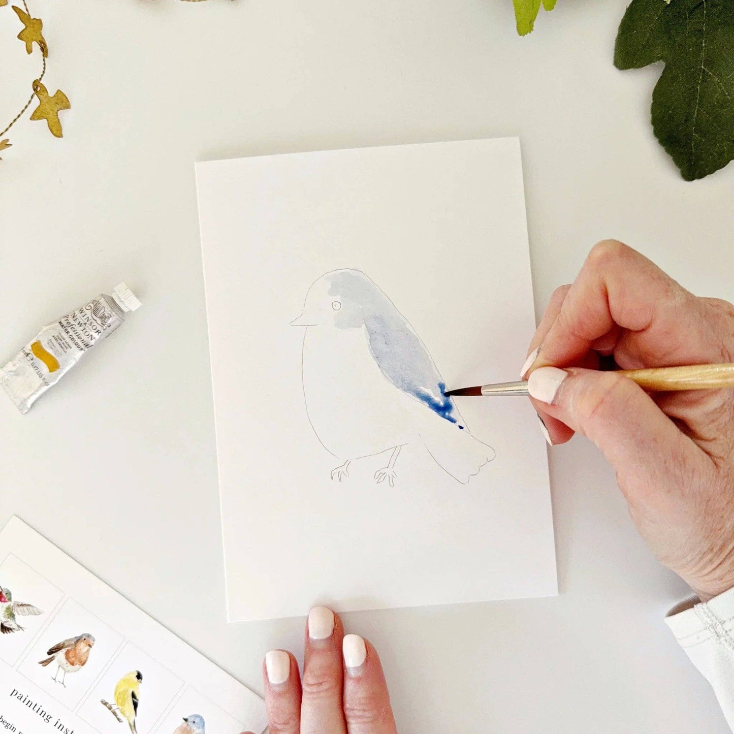 Birds paintable watercolor notecard set