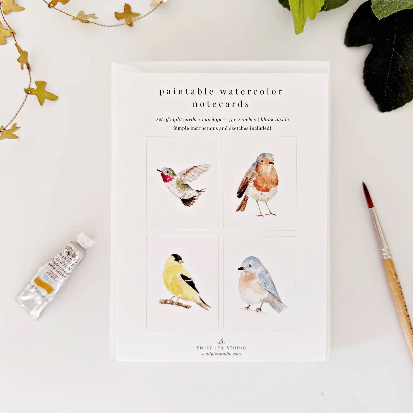 Birds paintable watercolor notecard set