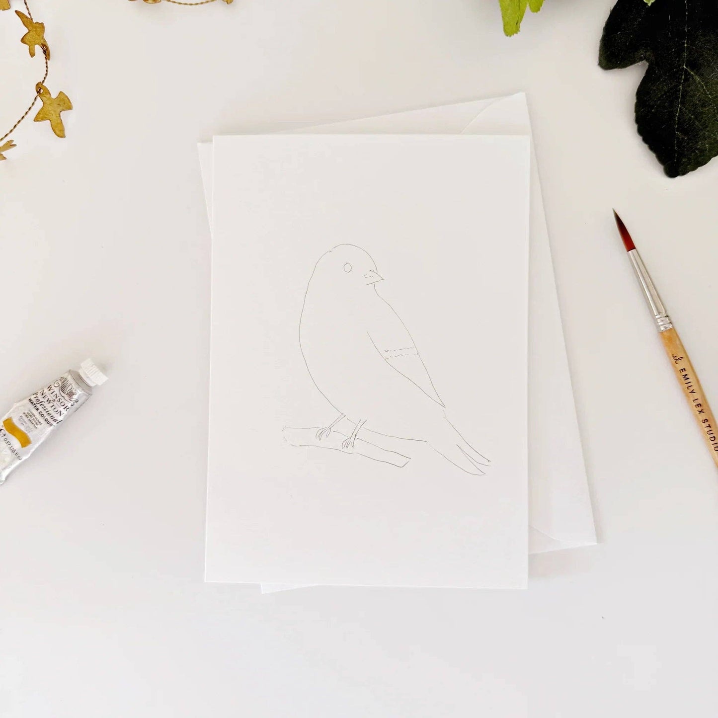Birds paintable watercolor notecard set