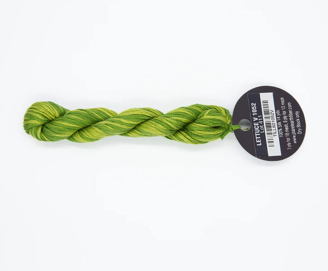 Planet Earth Silk Ply Variegated