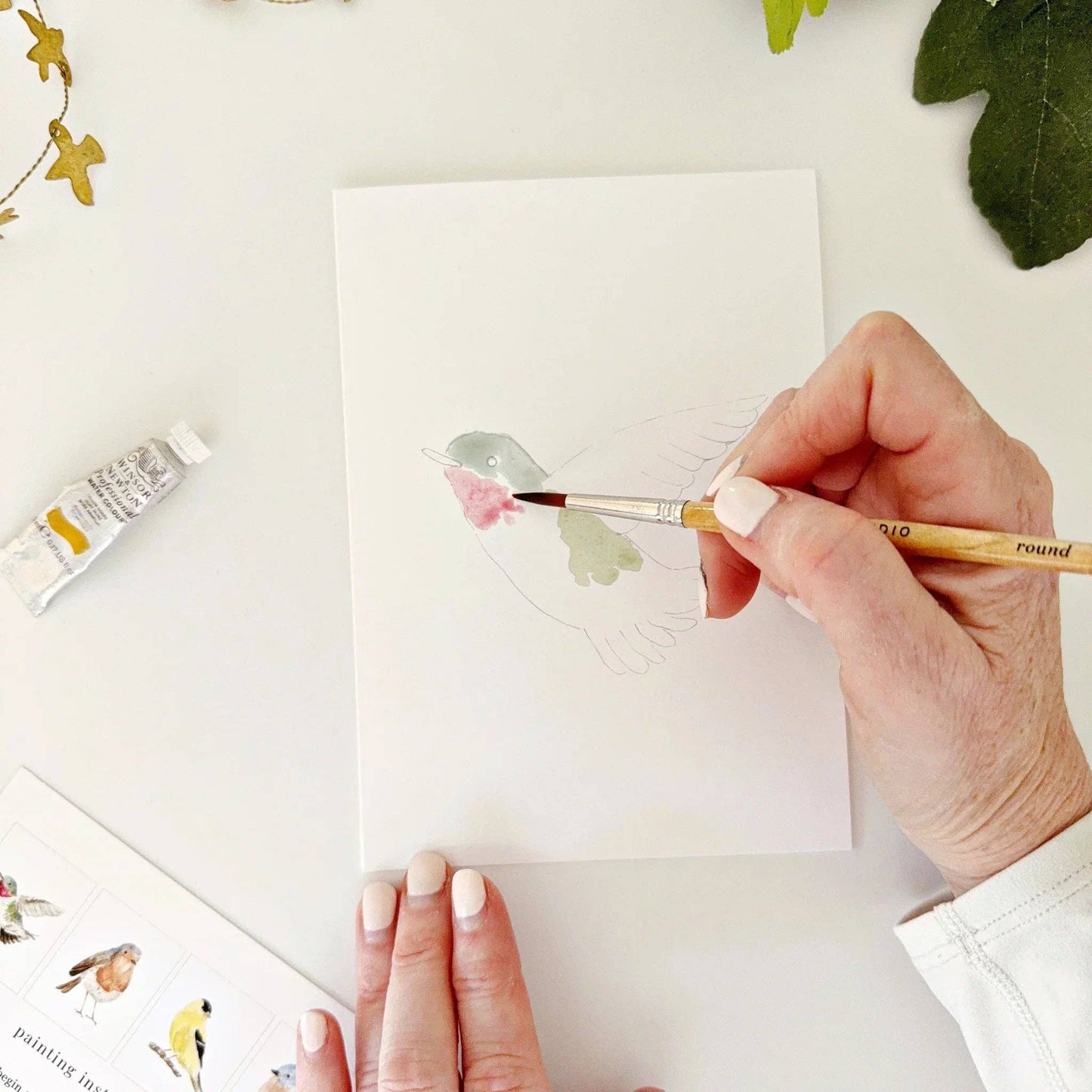 Birds paintable watercolor notecard set